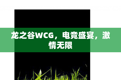龙之谷WCG,电竞盛宴,激情无限 龙之谷WCG,电竞盛宴,激情无限