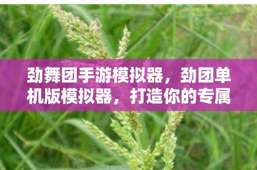 劲舞团手游模拟器,劲团单机版模拟器,打造你的专属游戏世界 劲舞团手游模拟器,劲团单机版模拟器,打造你的专属游戏世界