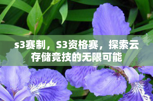 s3赛制,S3资格赛,探索云存储竞技的无限可能 s3赛制,S3资格赛,探索云存储竞技的无限可能