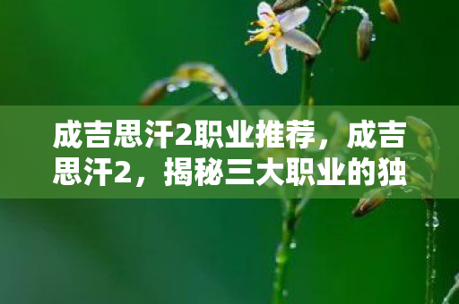 成吉思汗2职业推荐,成吉思汗2,揭秘三大职业的独特魅力 成吉思汗2职业推荐,成吉思汗2,揭秘三大职业的独特魅力