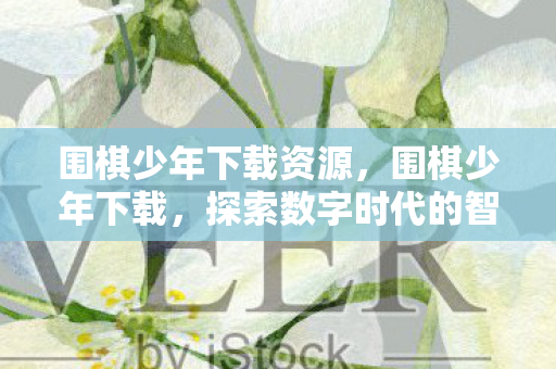 围棋少年下载资源,围棋少年下载,探索数字时代的智力盛宴 围棋少年下载资源,围棋少年下载,探索数字时代的智力盛宴