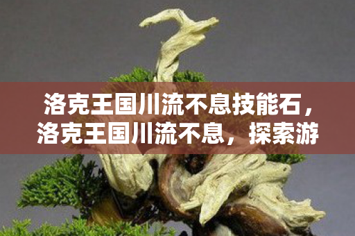 洛克王国川流不息技能石,洛克王国川流不息,探索游戏世界的无限可能 洛克王国川流不息技能石,洛克王国川流不息,探索游戏世界的无限可能