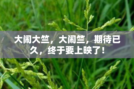 大闹大竺,大闹竺,期待已久,终于要上映了! 大闹大竺,大闹竺,期待已久,终于要上映了!