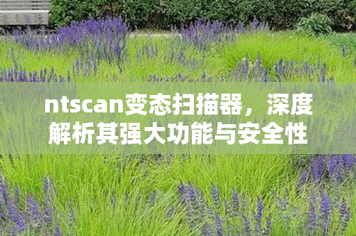 ntscan变态扫描器,深度解析其强大功能与安全性 ntscan变态扫描器,深度解析其强大功能与安全性