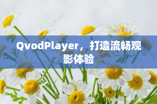 QvodPlayer,打造流畅观影体验 QvodPlayer,打造流畅观影体验