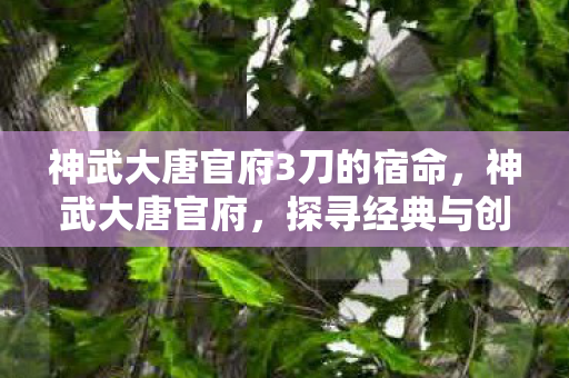 神武大唐官府3刀的宿命,神武大唐官府,探寻经典与创新的完美融合 神武大唐官府3刀的宿命,神武大唐官府,探寻经典与创新的完美融合