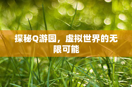 探秘Q游园,虚拟世界的无限可能 探秘Q游园,虚拟世界的无限可能