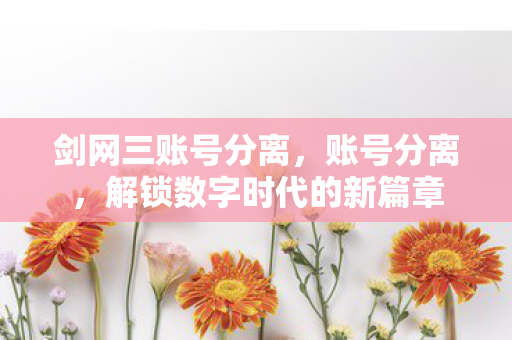 剑网三账号分离，账号分离，解锁数字时代的新篇章