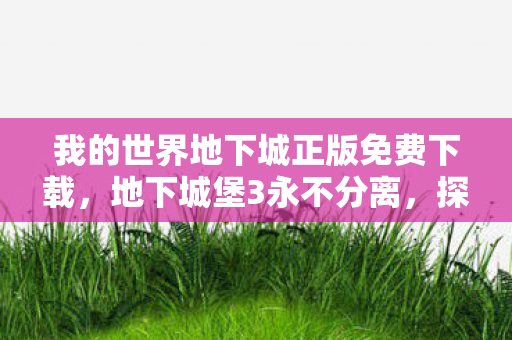我的世界地下城正版免费下载,地下城堡3永不分离,探索未知世界的奇幻之旅 我的世界地下城正版免费下载,地下城堡3永不分离,探索未知世界的奇幻之旅