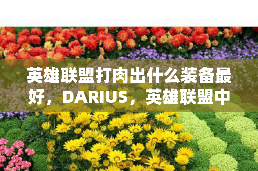 英雄联盟打肉出什么装备最好,DARIUS,英雄联盟中的无畏战士 英雄联盟打肉出什么装备最好,DARIUS,英雄联盟中的无畏战士