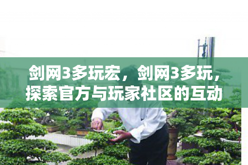 剑网3多玩宏，剑网3多玩，探索官方与玩家社区的互动新境界