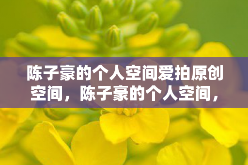 陈子豪的个人空间爱拍原创空间，陈子豪的个人空间，探索游戏世界的无限可能