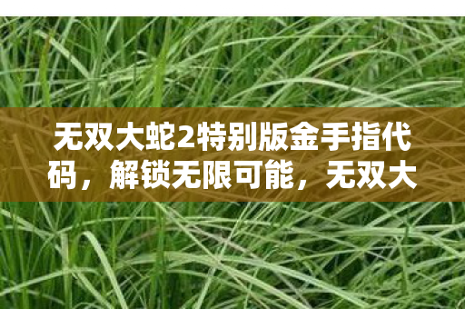 无双大蛇2特别版金手指代码,解锁无限可能,无双大蛇2特别版金手指秘籍 无双大蛇2特别版金手指代码,解锁无限可能,无双大蛇2特别版金手指秘籍