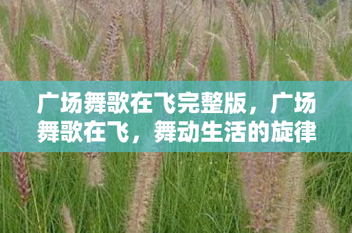 广场舞歌在飞完整版,广场舞歌在飞,舞动生活的旋律,传递社区的温暖 广场舞歌在飞完整版,广场舞歌在飞,舞动生活的旋律,传递社区的温暖
