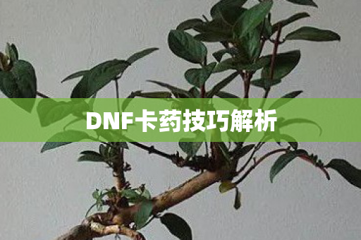 DNF卡药技巧解析 DNF卡药技巧解析