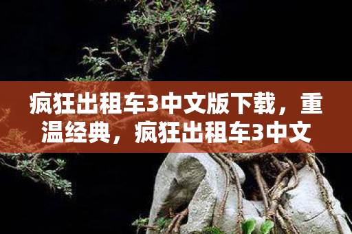 疯狂出租车3中文版下载，重温经典，疯狂出租车3中文版的回忆与体验
