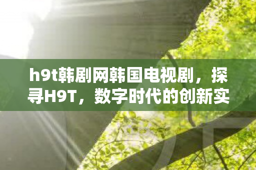 h9t韩剧网韩国电视剧,探寻H9T,数字时代的创新实践 h9t韩剧网韩国电视剧,探寻H9T,数字时代的创新实践