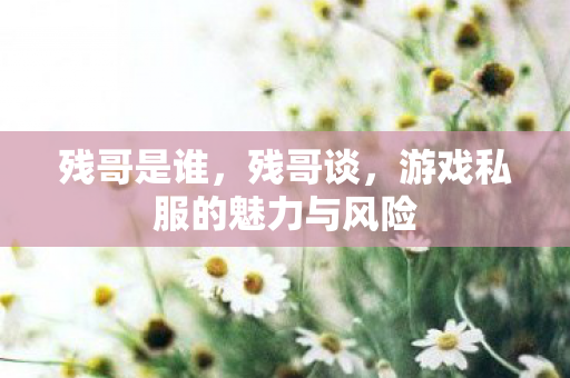 残哥是谁,残哥谈,游戏私服的魅力与风险 残哥是谁,残哥谈,游戏私服的魅力与风险