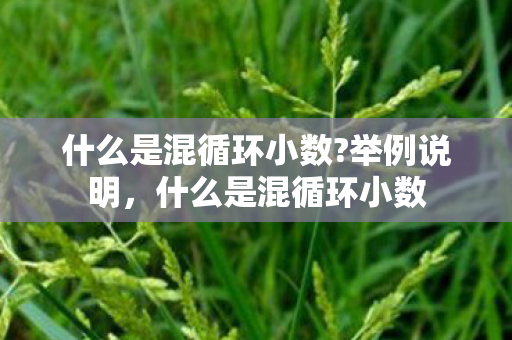 什么是混循环小数?举例说明，什么是混循环小数