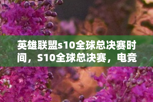 英雄联盟s10全球总决赛时间，S10全球总决赛，电竞盛宴的荣耀与梦想
