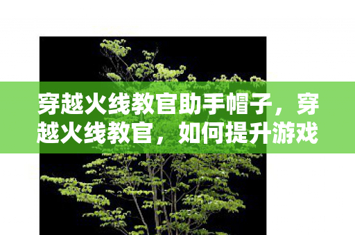 穿越火线教官助手帽子,穿越火线教官,如何提升游戏技巧与战术意识 穿越火线教官助手帽子,穿越火线教官,如何提升游戏技巧与战术意识