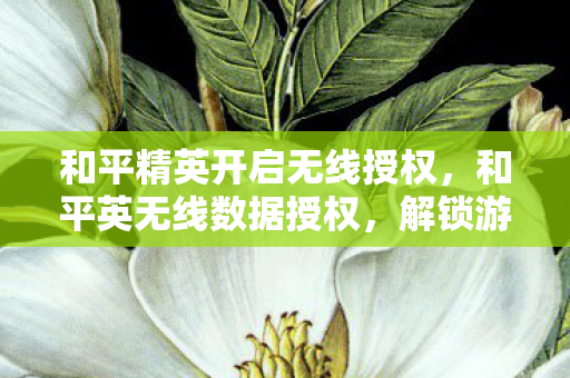 和平精英开启无线授权,和平英无线数据授权,解锁游戏新体验,安全高效两不误 和平精英开启无线授权,和平英无线数据授权,解锁游戏新体验,安全高效两不误
