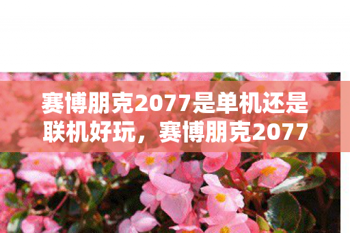 赛博朋克2077是单机还是联机好玩图片