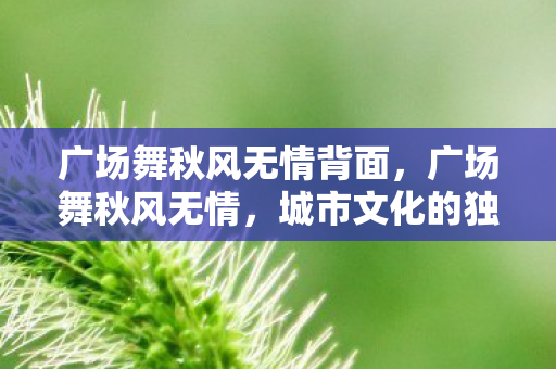 广场舞秋风无情背面,广场舞秋风无情,城市文化的独特风景线 广场舞秋风无情背面,广场舞秋风无情,城市文化的独特风景线