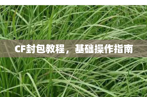 CF封包教程,基础操作指南 CF封包教程,基础操作指南