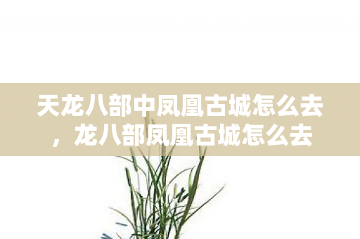 天龙八部中凤凰古城怎么去，龙八部凤凰古城怎么去