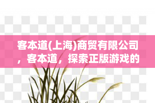 客本道(上海)商贸有限公司，客本道，探索正版游戏的多元体验与社区文化