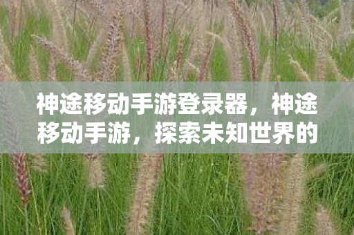 探索未知世界的奇妙之旅图片