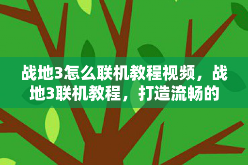 战地3怎么联机教程视频,战地3联机教程,打造流畅的多人游戏体验 战地3怎么联机教程视频,战地3联机教程,打造流畅的多人游戏体验