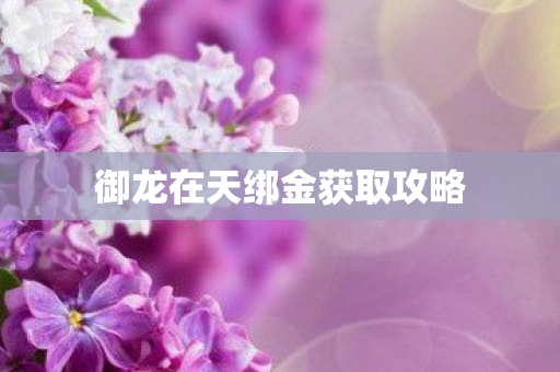 御龙在天绑金获取攻略
