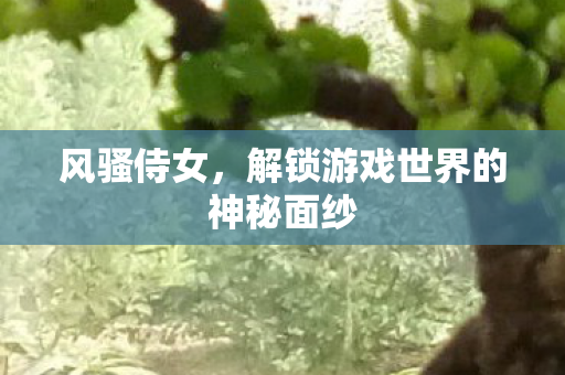 风骚侍女,解锁游戏世界的神秘面纱 风骚侍女,解锁游戏世界的神秘面纱