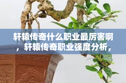 轩辕传奇什么职业最厉害啊图片
