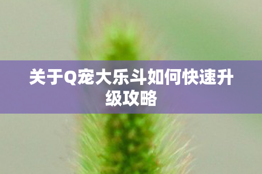 关于Q宠大乐斗如何快速升级攻略