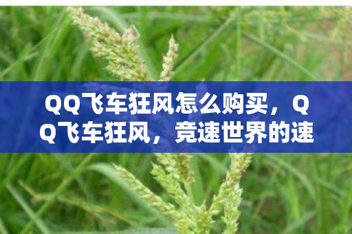 QQ飞车狂风怎么购买图片