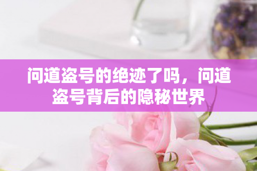 问道盗号背后的隐秘世界图片