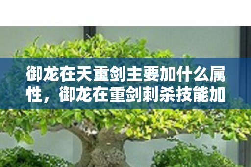御龙在天重剑主要加什么属性,御龙在重剑刺杀技能加点 御龙在天重剑主要加什么属性,御龙在重剑刺杀技能加点