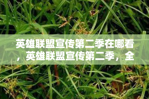 英雄联盟宣传第二季在哪看,英雄联盟宣传第二季,全新赛季,燃爆战场! 英雄联盟宣传第二季在哪看,英雄联盟宣传第二季,全新赛季,燃爆战场!