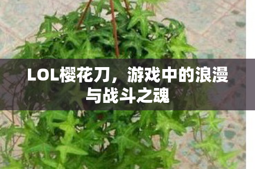 LOL樱花刀,游戏中的浪漫与战斗之魂 LOL樱花刀,游戏中的浪漫与战斗之魂