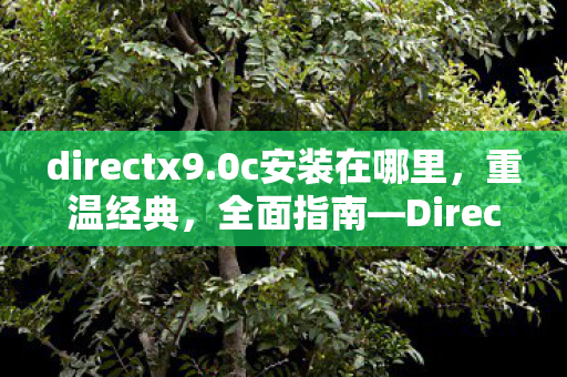 directx9.0c安装在哪里，重温经典，全面指南—DirectX 9.0c安装与配置