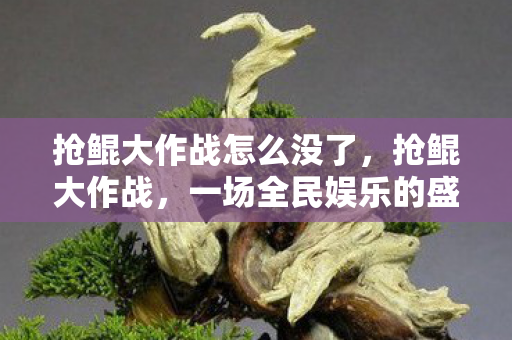 抢鲲大作战怎么没了图片