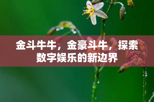 金斗牛牛,金豪斗牛,探索数字娱乐的新边界 金斗牛牛,金豪斗牛,探索数字娱乐的新边界