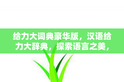 给力大词典豪华版，汉语给力大辞典，探索语言之美，领略文化之魅