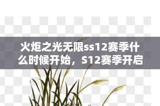 火炬之光无限ss12赛季什么时候开始，S12赛季开启时间揭秘，电竞迷的狂欢盛宴即将来临