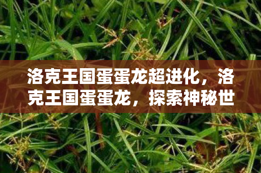 探索神秘世界的奇妙之旅图片