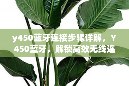 y450蓝牙连接步骤详解，Y450蓝牙，解锁高效无线连接的秘密