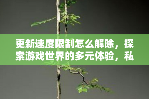 私服与官方服务器的异同分析图片